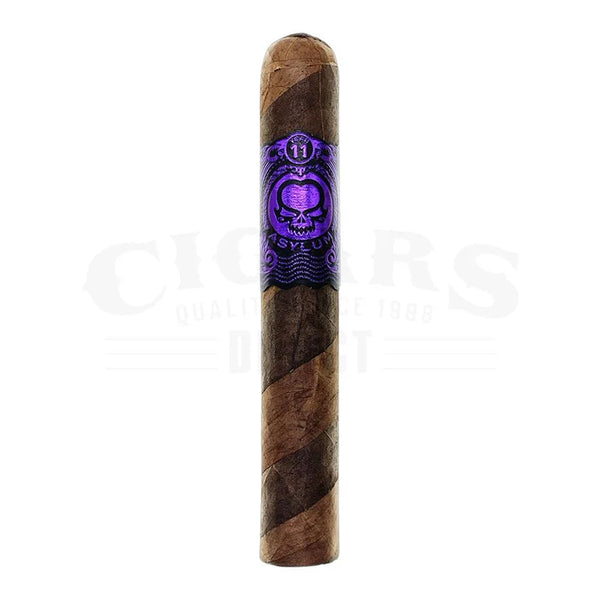 Asylum Eleven Gordo