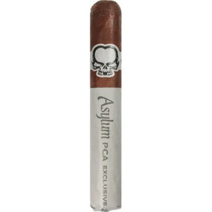 Asylum PCA 2023 Robusto